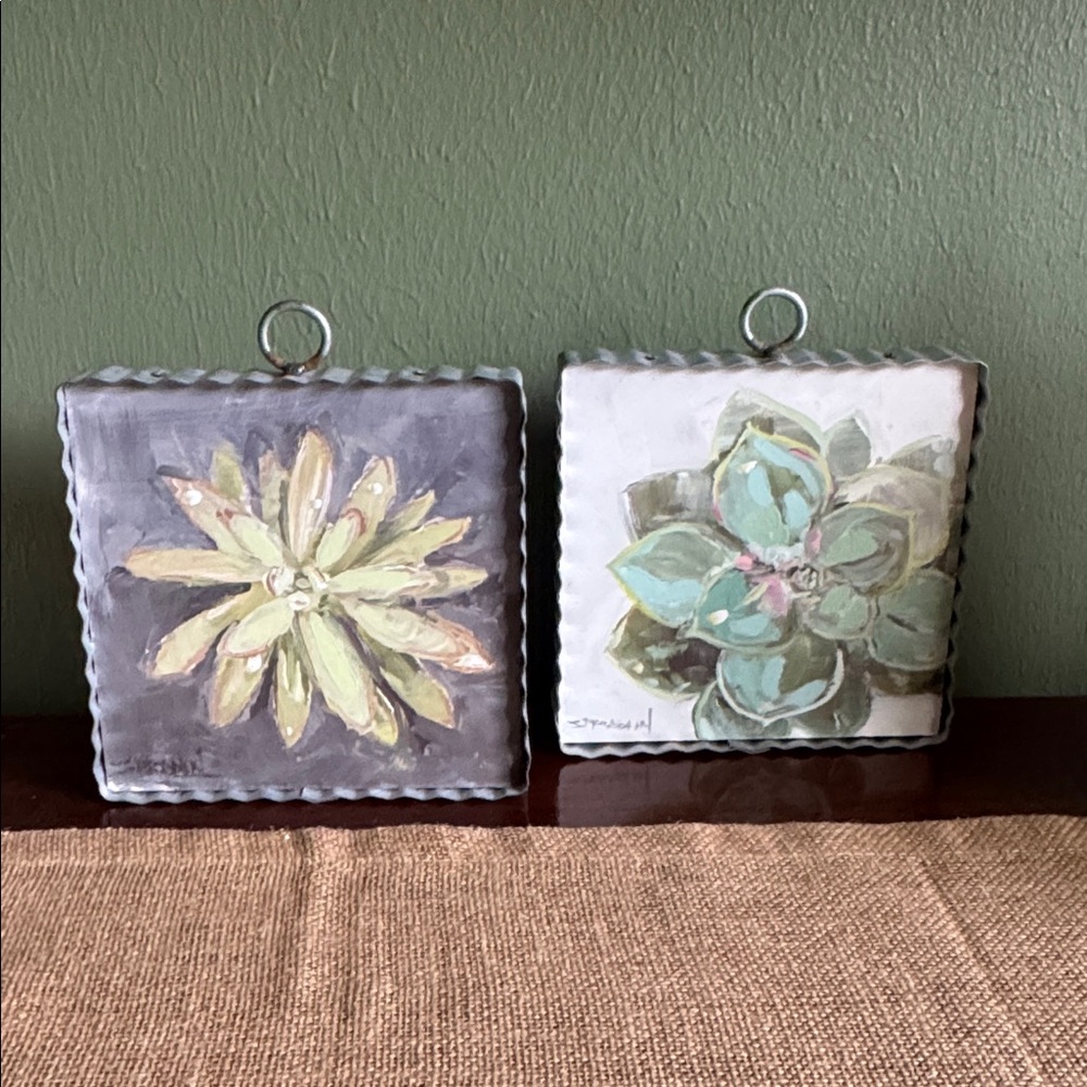 The Round Top Collection Mini Succulent Plant Prints 6x6x1 Metal Trim Texas